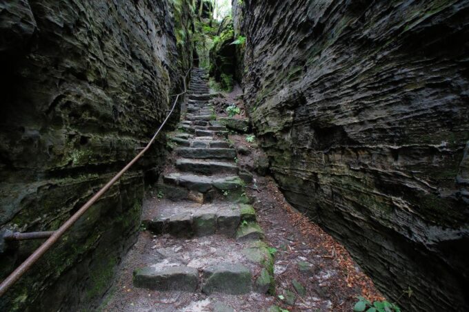 Discover Bohemia: Tisa Rocks, Bastei, Brewery & Beer Tasting - Cuisine and Beer Tasting