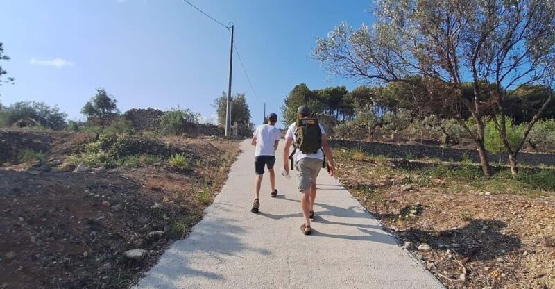 Discover Bolulla by Finding Oliver - Family Escape Hike - Booking and Cancellation