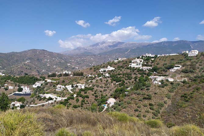 Discover Boutique Wineries and White Washed Villages With Andalucian Lunch - Tour Overview