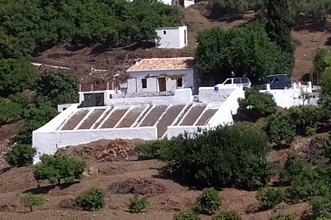 Discover Boutique Wineries and White Washed Villages With Andalucian Lunch - Discover Marbellas Boutique Wineries