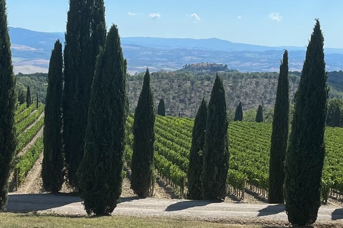 Discover Brunello Wines With Diwine Experience - Good To Know