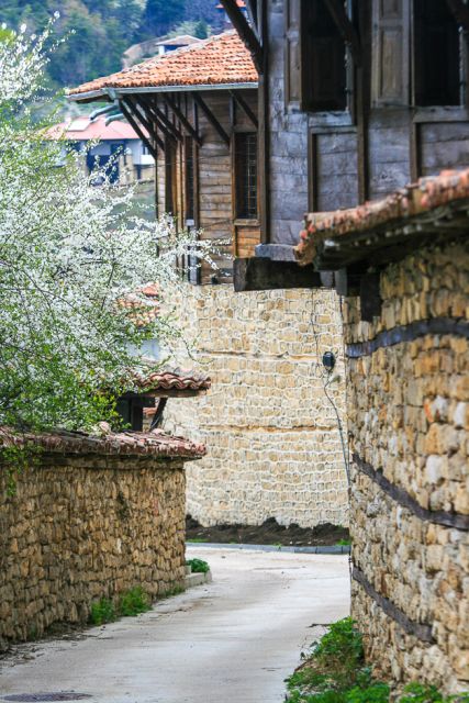 Discover Bulgaria Full-Day Guided Tour From Bucharest - Danube River