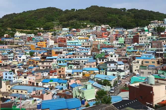 Discover Busan: A Full-Day Private & Custom Tours - Accessibility and Participation
