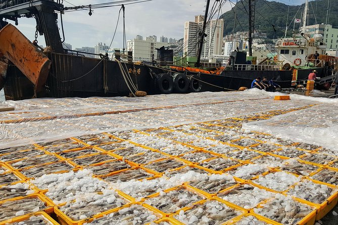 Discover Busan: A Full-Day Private & Custom Tours - Reviews and Feedback