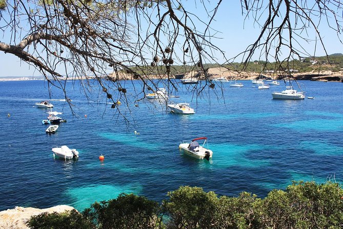 Discover Cala Bassa and Cala Comte on Board a Catamaran - Booking and Cancellation