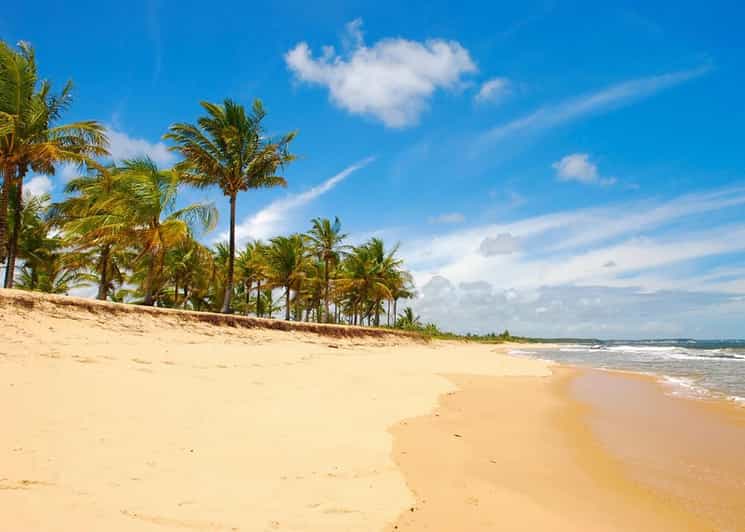 Discover Caraíva: Guided Tour - Beaches of Porto Seguro - Tour Duration and Pickup