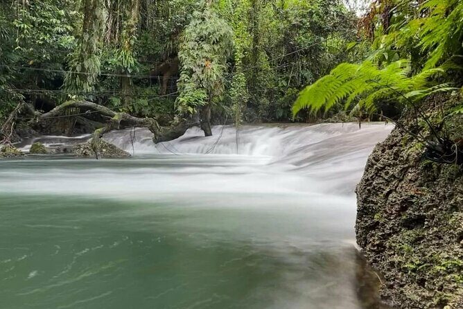 Discover Cascades & Turtle Experience with Yumi Tours - How Does This Tour Deliver Value?