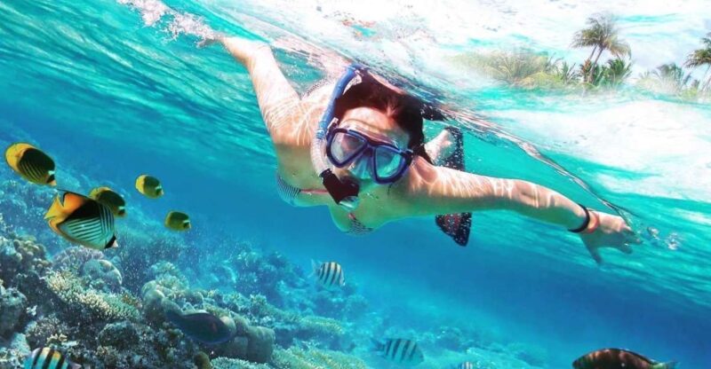 Discover Catalina Island - Snorkelling, Open Buffet & Drinks - Island Highlights