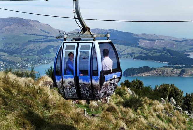 Discover Christchurch Tour - Key Points