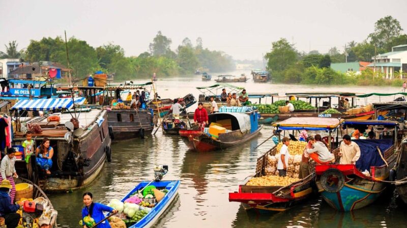 Discover Classic Mekong Delta 1 Day Tour - Itinerary Highlights