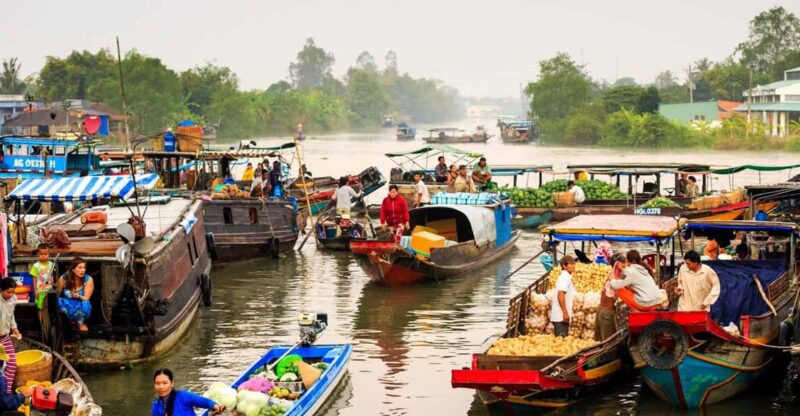 Discover Classic Mekong Delta 1 Day Tour - Transportation and Meals