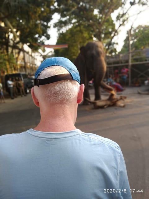 Discover Colombo With Tuk Tuk Tours Sri Lanka - Experience Gangaramaya Temple