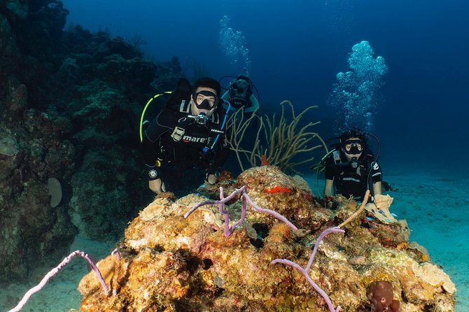 Discover Culebra: 2-Tank Scuba Diving - Included Amenities