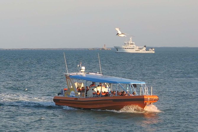 Discover Darwin Harbour 1 Hour Darwin Harbour Cruise - Impacts on the Harbors Transformation