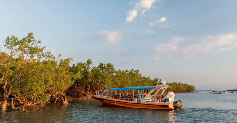 Discover Darwin Harbour: Darwin Harbour Afternoon Cruise - Departure and Duration