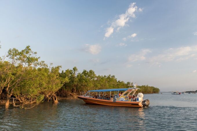 Discover Darwin Harbour: Darwin Harbour Afternoon Cruise - Learning About WWII History