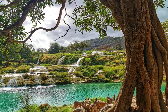 Discover Dhofar (East and West) White Beach, Waterfall, Camels & Mountains - Pricing and Booking
