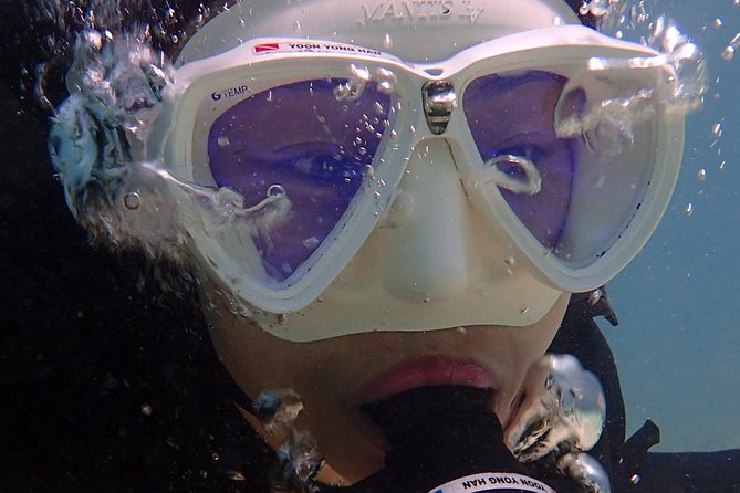Discover Diving - Key Points