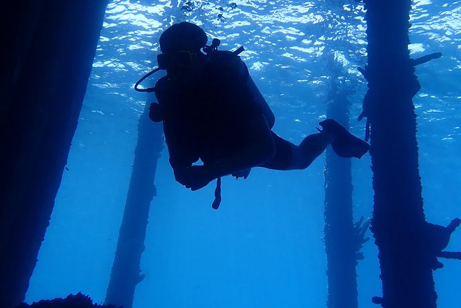 Discover Diving in Curacao - Meeting and Pickup