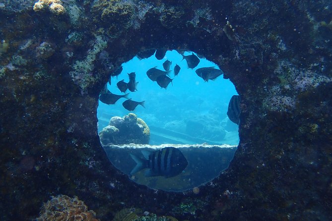 Discover Diving in Curacao - Participant Requirements