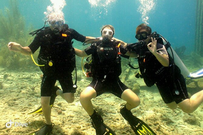 Discover Diving in Curaçao With Transportation Included - Traveler Feedback