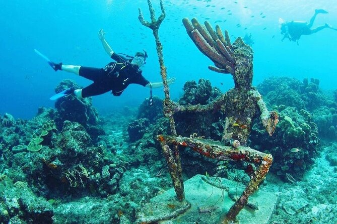 Discover Diving in Curaçao With Transportation Included - Tour Schedule