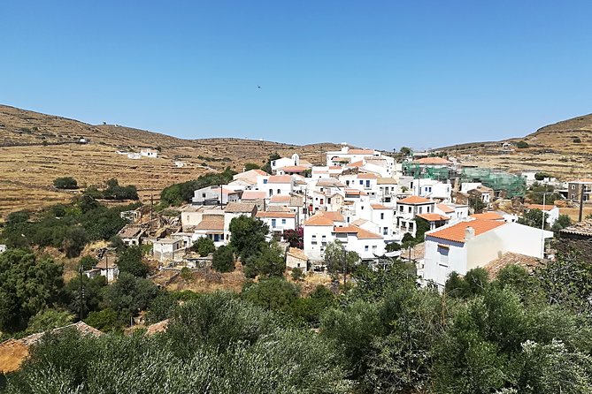 Discover Dryopida, Untouched by Time - Key Points