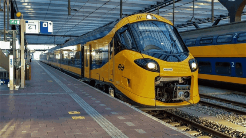 Discover Efteling With Train+Bus Ticket To/From Rotterdam - Key Points