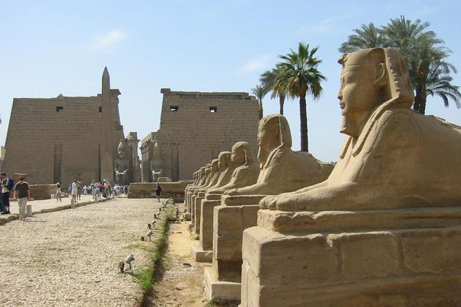 Discover Egypt - 7 Days (Cairo/Luxor/Aswan) - Booking Details