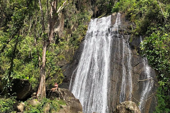 Discover El Yunque: Half-Day Rainforest Tour - Highlights of the Tour
