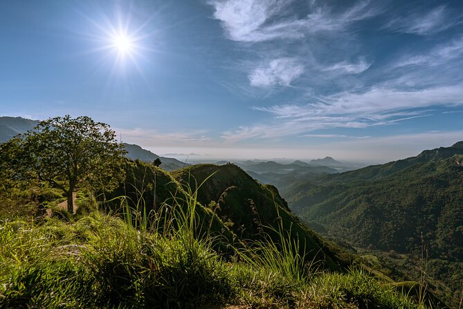 Discover Ella - Ella Rock, Little Adams Peak & Nine Arch Bridge - Key Points