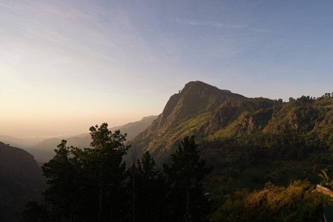 Discover Ella - Ella Rock, Little Adams Peak & Nine Arch Bridge - Meeting and Pickup