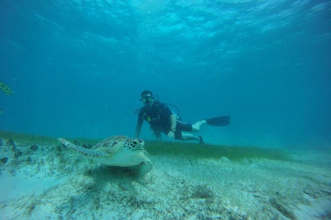 Discover Fajardo: 2-Tank Scuba Diving - Location and Directions