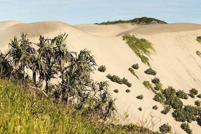 Discover Fijis Hidden Gems: Eco Park, Pottery Village & Dunes! - Kula Eco Park Exploration