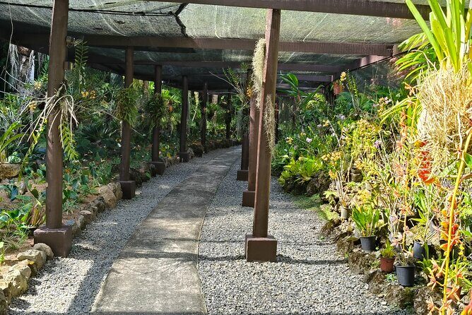 Discover Fiji's Key Attractions in Nadi for a Half-Day Visit - Authenticity and Quality of Guides