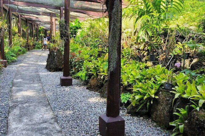 Discover Fiji's Key Attractions in Nadi for a Half-Day Visit - Who Should Consider This Tour?