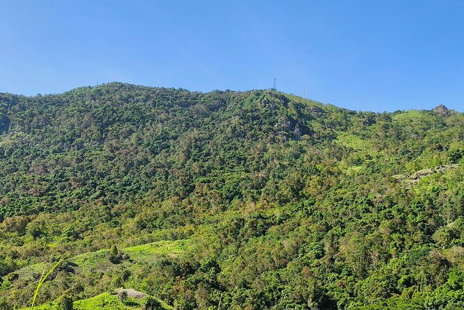 Discover Fiji's Key Attractions in Nadi for a Half-Day Visit - FAQ