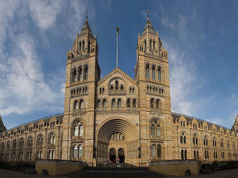 Discover Fossils & Gems at Natural History Museum - Unraveling the Story of Lifes Evolution