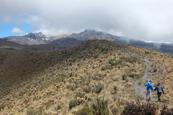 Discover Frailejones in Los Nevados National Natural Park (2 Days) - Key Points