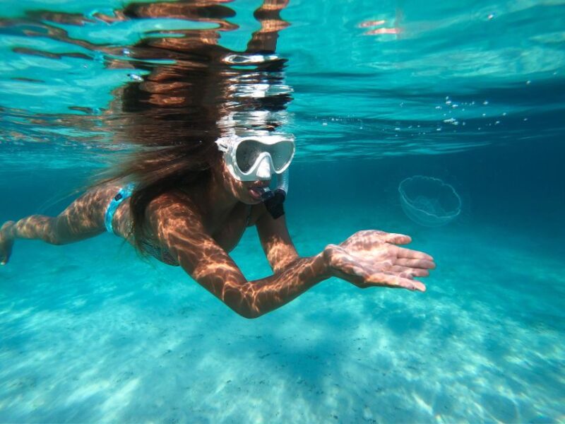Discover Free Diving Ligaria Beach - Highlights of the Experience