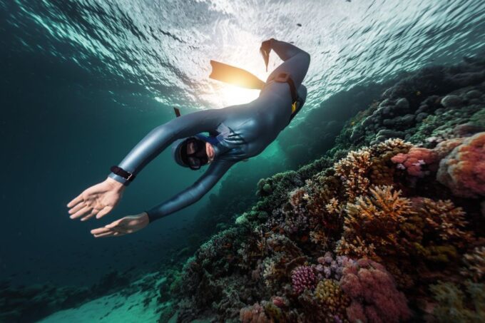 Discover Free Diving Ligaria Beach - Underwater Photography