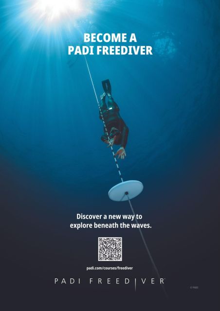 Discover Free Diving Ligaria Beach - Van Transfer Details