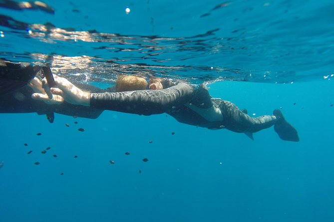 Discover Freediving Course - Booking and Cancellation Policy