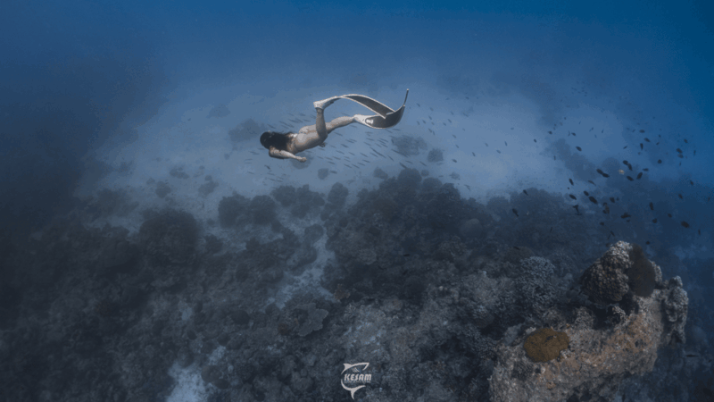 Discover Freediving in Boracay - Inclusions