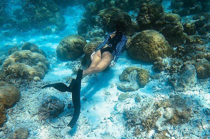 Discover Freediving in Koh Lanta, Thailand - Who Should Consider This Tour?