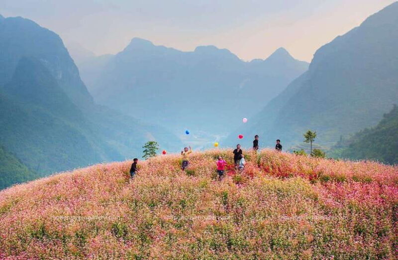 DISCOVER HA GIANG DONG VAN STONE PLATEAUNHO QUE RIVER 2DAY - Key Points