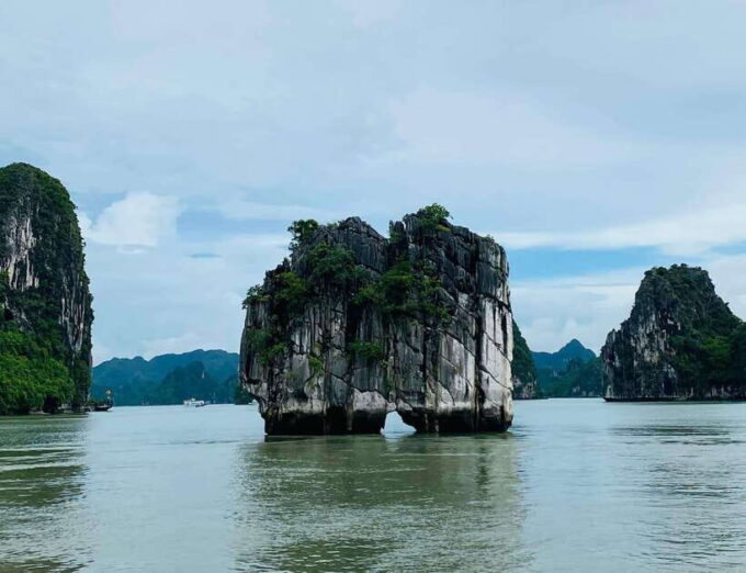 Discover Halong Bay 4-hour Scenic Cruise, Kayak, Lunch, Cave - Since You Asked