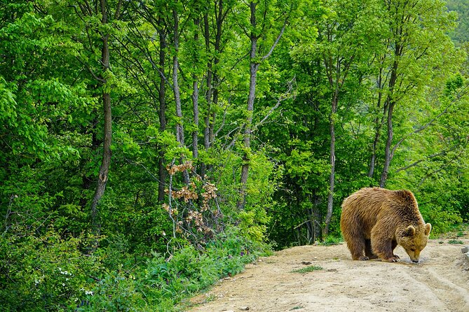 Discover Highlights of Kosovo in 4 Days Tour! - Accommodation and Cancellation Policy