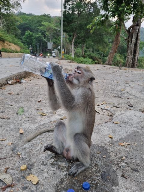 Discover Highlights Of Lombok In Just 3 Days - Booking Information