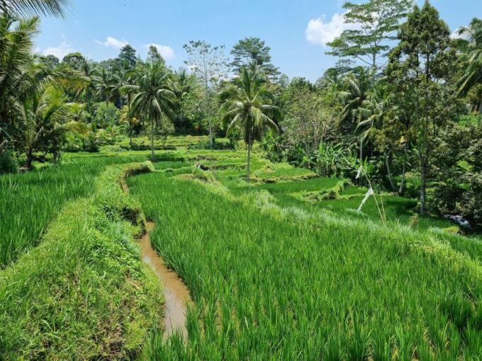 Discover Highlights Of Lombok In Just 3 Days - Duration and Availability